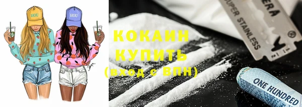 винт Алзамай