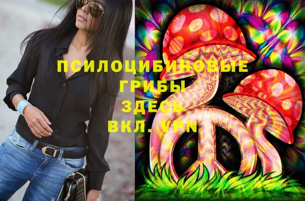 винт Алзамай
